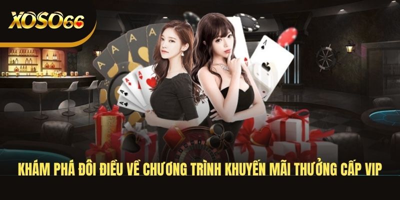 kham-pha-doi-dieu-ve-chuong-trinh-khuyen-mai-thuong-cap-vip