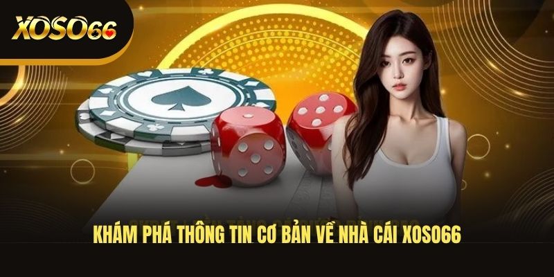 kham-pha-thong-tin-co-ban-ve-nha-cai-xoso66