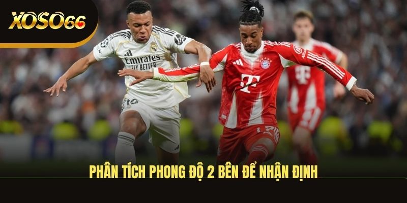 phan-tich-phong-do-2-ben-de-nhan-dinh