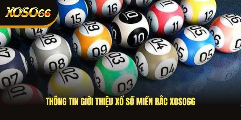thong-tin-gioi-thieu-xo-so-mien-bac-xoso66