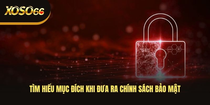tim-hieu-muc-dich-khi-dua-ra-chinh-sach-bao-mat
