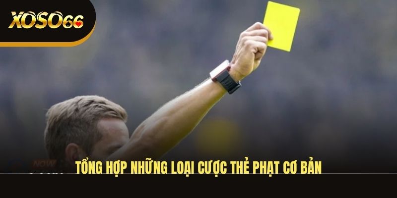 tong-hop-nhung-loai-cuoc-the-phat-co-ban