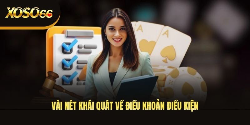 vai-net-khai-quat-ve-dieu-khoan-dieu-kien